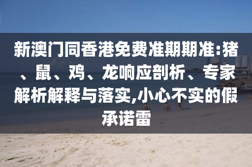 新澳門同香港免費準期期準:豬、鼠、雞、龍響應剖析、專家解析解釋與落實,小心不實的假承諾雷