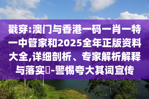 戳穿:澳門與香港一碼一肖一特一中管家和2025全年正版資料大全,詳細剖析、專家解析解釋與落實?-警惕夸大其詞宣傳