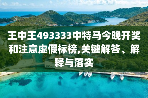 王中王493333中特馬今晚開獎和注意虛假標榜,關鍵解答、解釋與落實